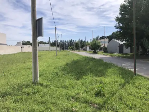 Terreno en Venta 49  mts Fondo