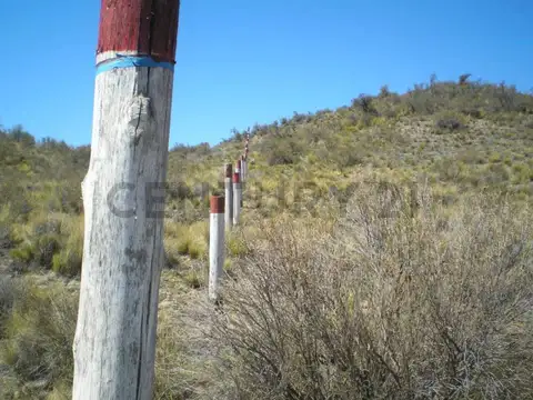 RUTA N° 7 100, Piso 0