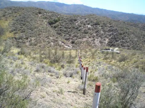 Terreno en Venta de 10000,0 m2