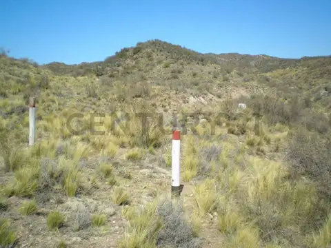 RUTA N° 7 100, Piso 0