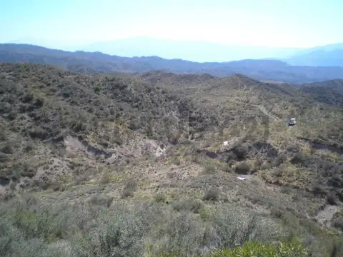 TERRENO EN VENTA 1 HA RUTA 7 S/N LUJAN DE CUYO