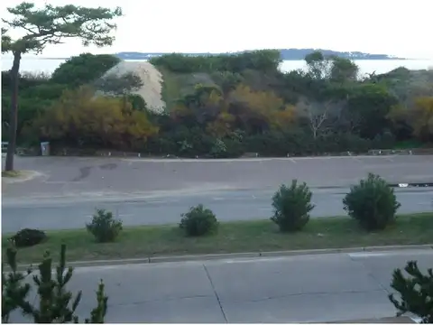 RBLA. CLAUDIO WILLIMAN 100