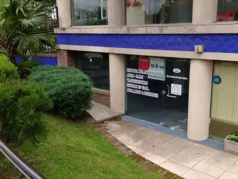 Maestro Angel D'elia 1200