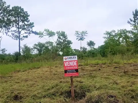 V565 - ¡Amplios Lotes en Zona "El indio" Acceso a Garupá!