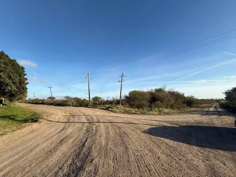 54 has Campo Agrícola  PERMUTA, o VENTA x depto Cap. Federal