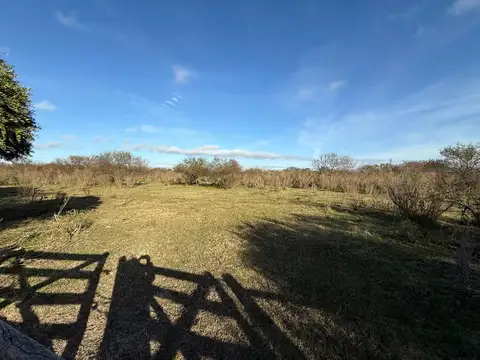 Campo en Venta en Gualeguaychu, Gualeguaychú