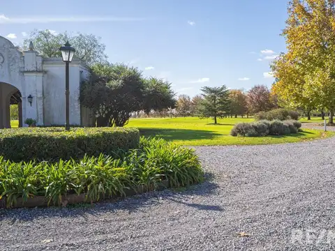 Terreno en Venta de 10043,0 m2