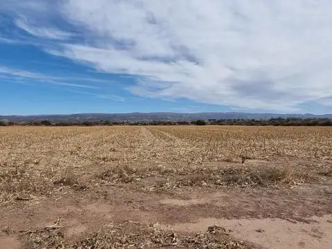 Ruta N° 5