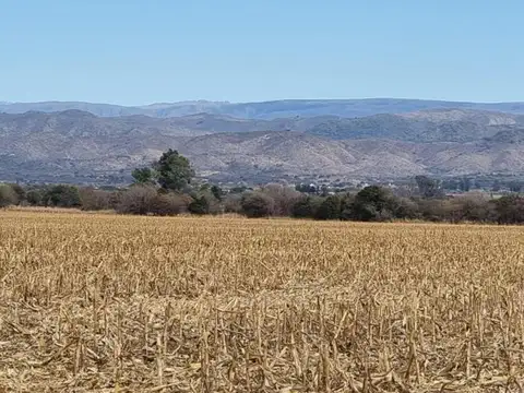 Ruta N° 5