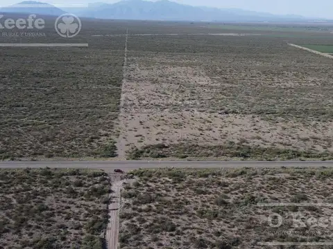 Campo en venta de 16 has en Mendoza