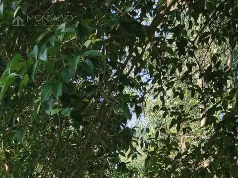 BÉLGICA ENTRE RÍO DULCE Y RÍO PILCOMAYO