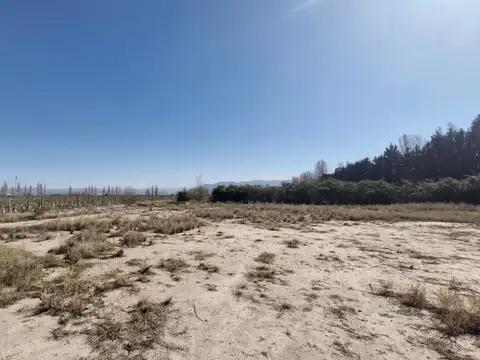 Terreno en Venta 57  mts Fondo