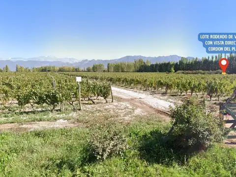 Lote con Vista Exclusiva al Cordón del Plata en Vistalba