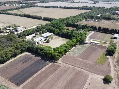 CAMINO A SANTA ROSA  (LOTE) 100