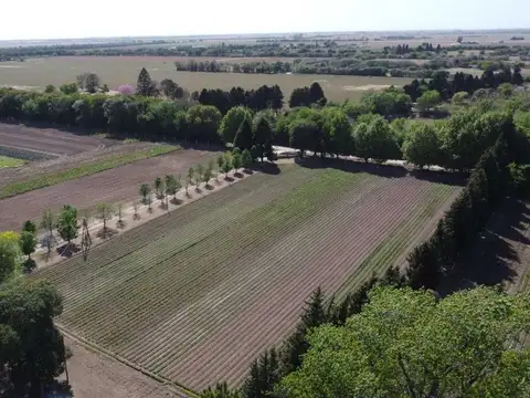 VENTA CAMPO 5 HECTAREAS DENTRO DEL CINTURON VERDE