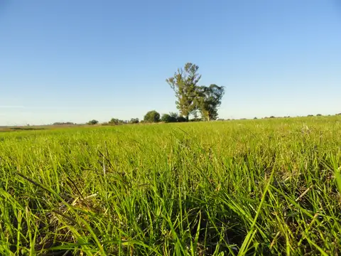 Gualeguaychú, ruta provincial N° 20