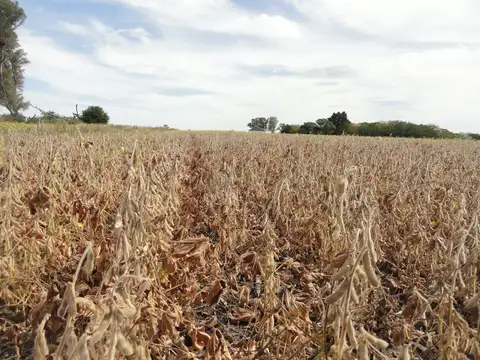 Gualeguaychú, ruta provincial N° 20