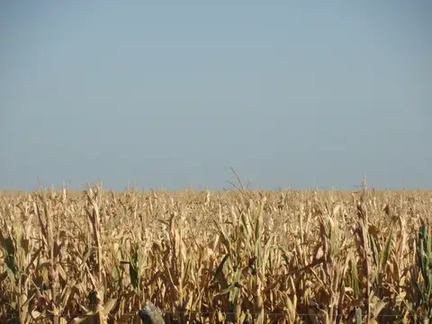 Gualeguaychú, ruta provincial N° 20