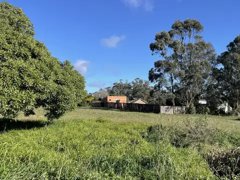 Terreno en Venta 34  mts Fondo