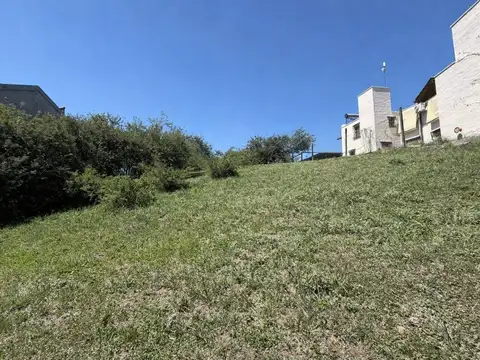 Avenida Martín Tissera 700