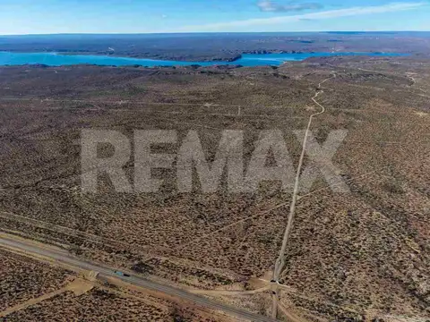 VENTA CAMPO 67,17has EN SENILLOSA