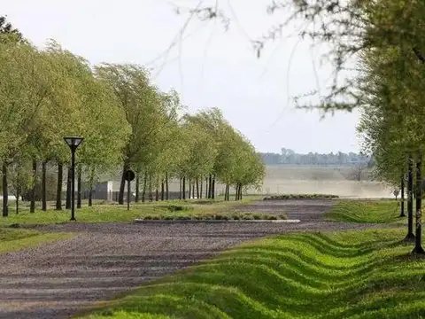 Terreno en Venta en Samborombon, USD 38.000