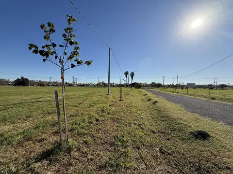 Cotos de la Alameda 2 - Lote  N° 33