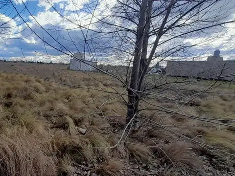 Terreno en Venta de 1225,0 m2