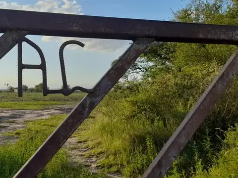 Camino A Los Condores