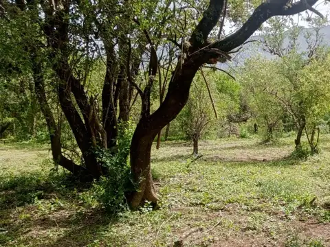 Las Pircas (barrio Balneario) 500