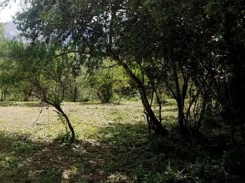Terreno en Venta en Centro, USD 35.000