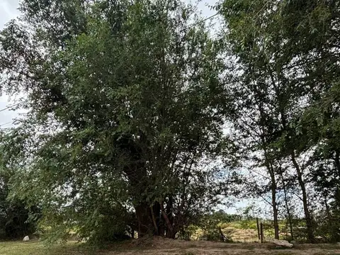 Terreno en Venta en Berrotaran, USD 18.000