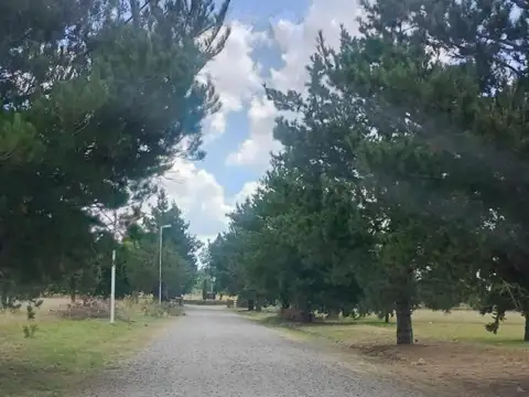 Quinta en Venta en Luján, USD 120.000