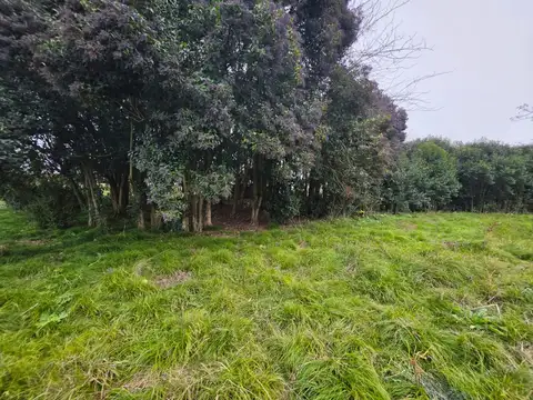Terreno en Venta en Barrio Malvinas, USD 25.000