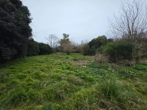 VENTA x4 LOTES 1279m2 GRAL RODRI IDEAL CASA QUINTA