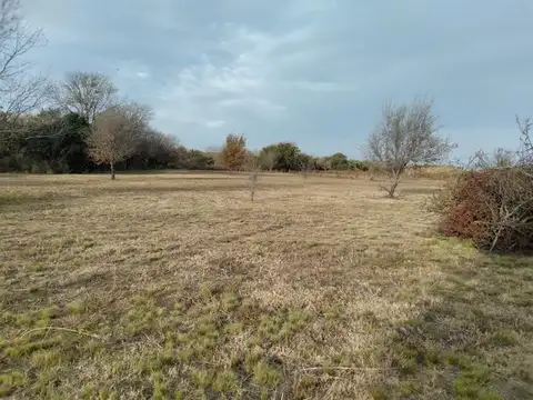 Terreno en Venta 50  mts Frente