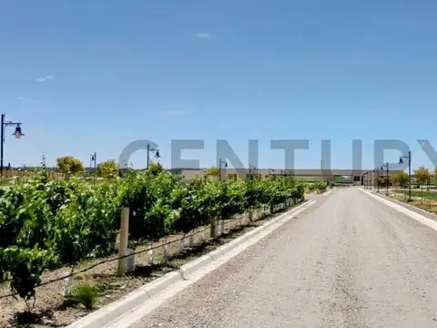 Terreno en Venta en Tupungato, USD 49.000