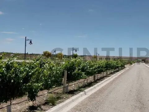 Terreno en Venta de 1260,0 m2