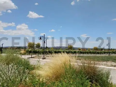 Century 21 López vende Lote en Barrio Privado Tupungato Valley Valle de Uco MendoA