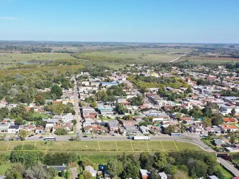 Vende 8 lotes comerciales en Capilla del Señor