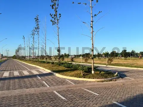 EcoTierra 100, Piso 0