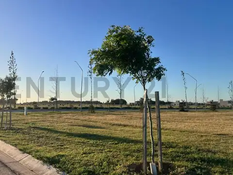 EcoTierra 100, Piso 0