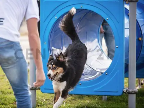 Venta Lote de 300m² en ECOTIERRA, Pueblo Esther