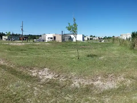 Av Juan Pablo Ii 1601