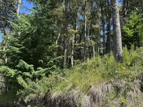 VENTA Lote/Terreno 1900m2 B° Los Robles San Martin de los Andes