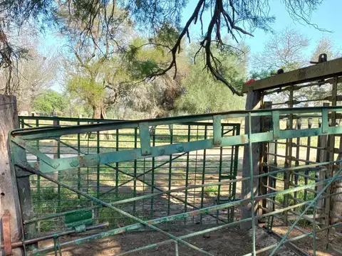 Campo sobre ruta 81 - Chiriguanos-