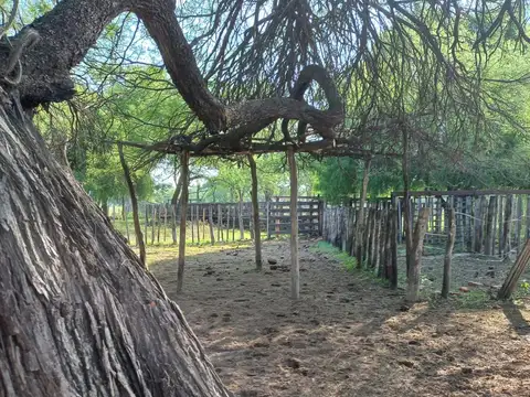 FORMOSA - Ruta 81 cercano a Chiriguanos