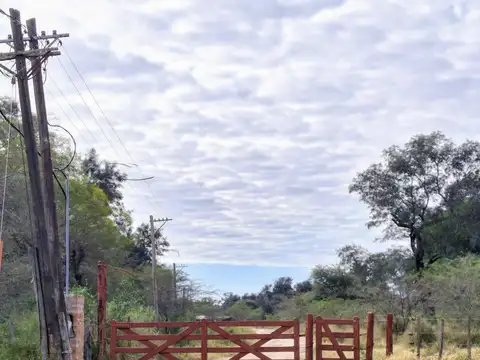 Campo sobre ruta 81 - Chiriguanos-