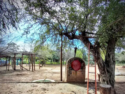 Campo sobre ruta 81 - Chiriguanos-