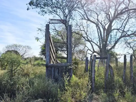 Campo sobre ruta 81 - Chiriguanos-